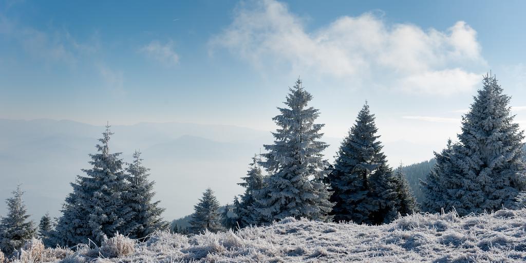 Penzion Ladoven Skvela Kuchyna A Rodinna Atmosfera Turócszentmárton Kültér fotó